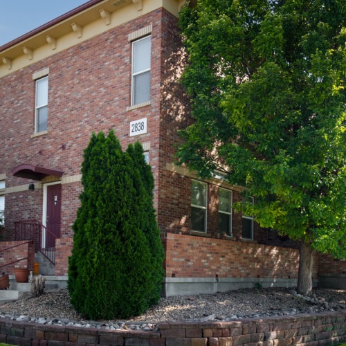 exterior of buildings with nearby landscaping