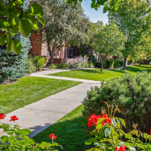 sidewalks and outdoor landscaping