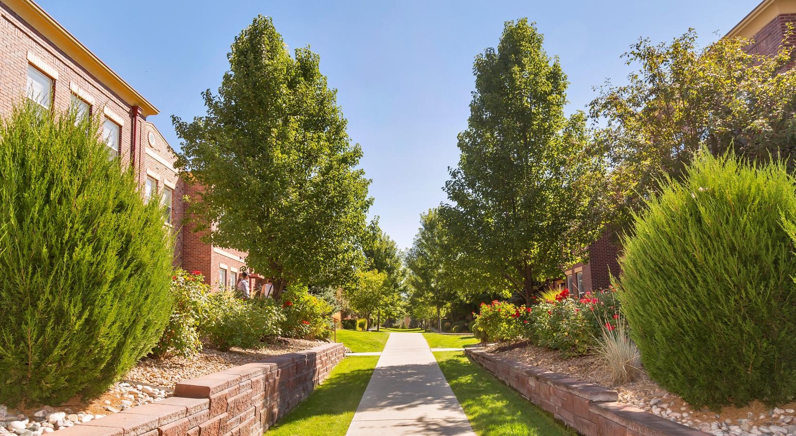 The essence of exceptional living a path with trees and bushes