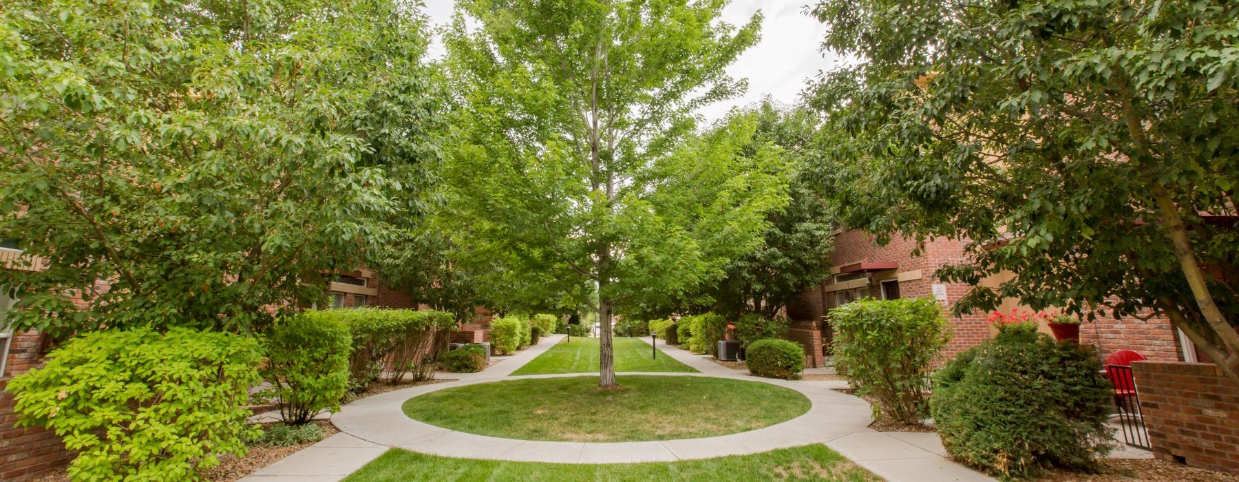 a yard with trees and bushes